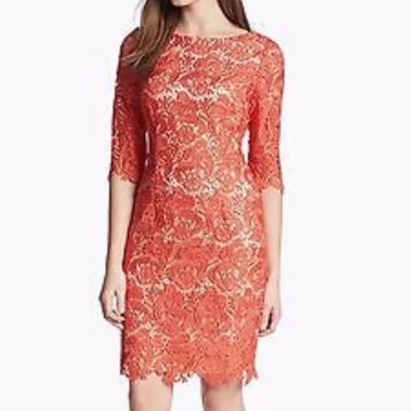 Eliza J Floral Embroidered Lace Sheath Dress Women’s Size 4 - Picture 1 of 14